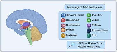 The Hidden Brain: Uncovering Previously Overlooked Brain Regions by Employing Novel Preclinical Unbiased Network Approaches